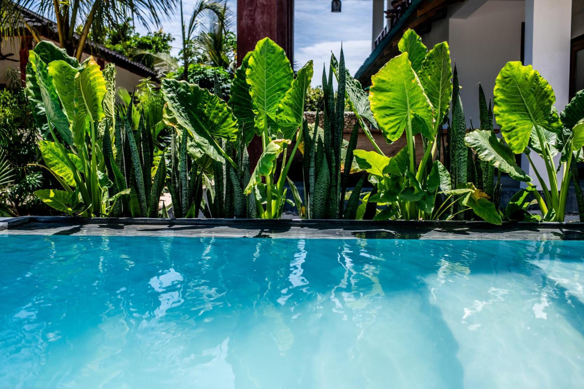 Baobab Bungalows Jambiani  Exteriör bild