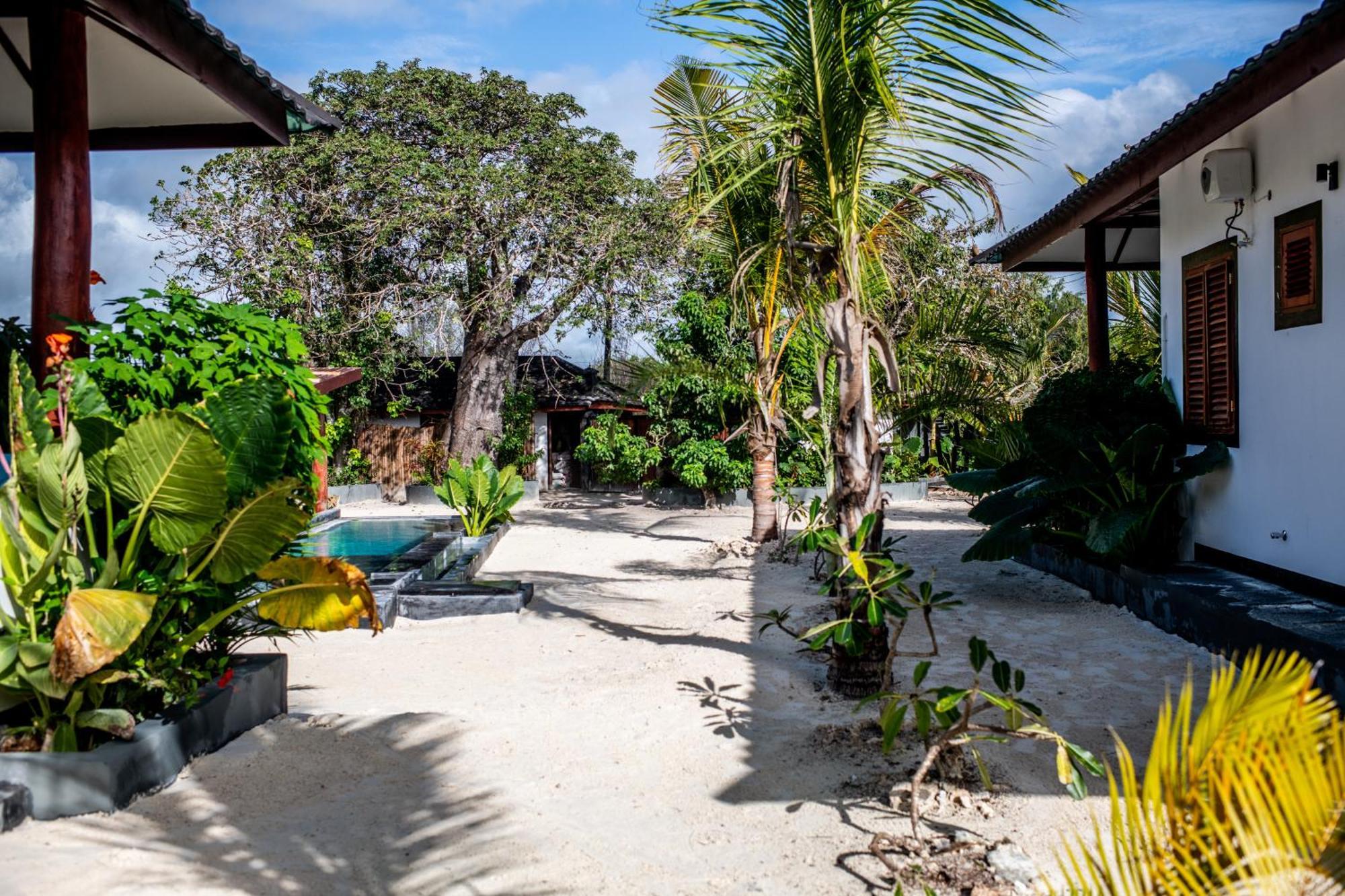 Baobab Bungalows Jambiani  Exteriör bild