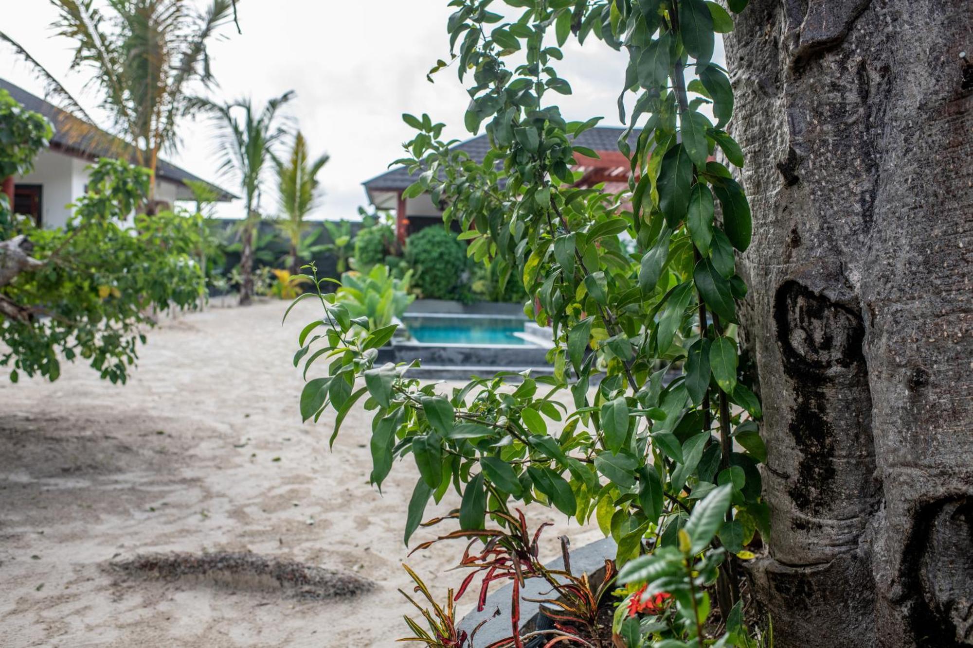 Baobab Bungalows Jambiani  Exteriör bild