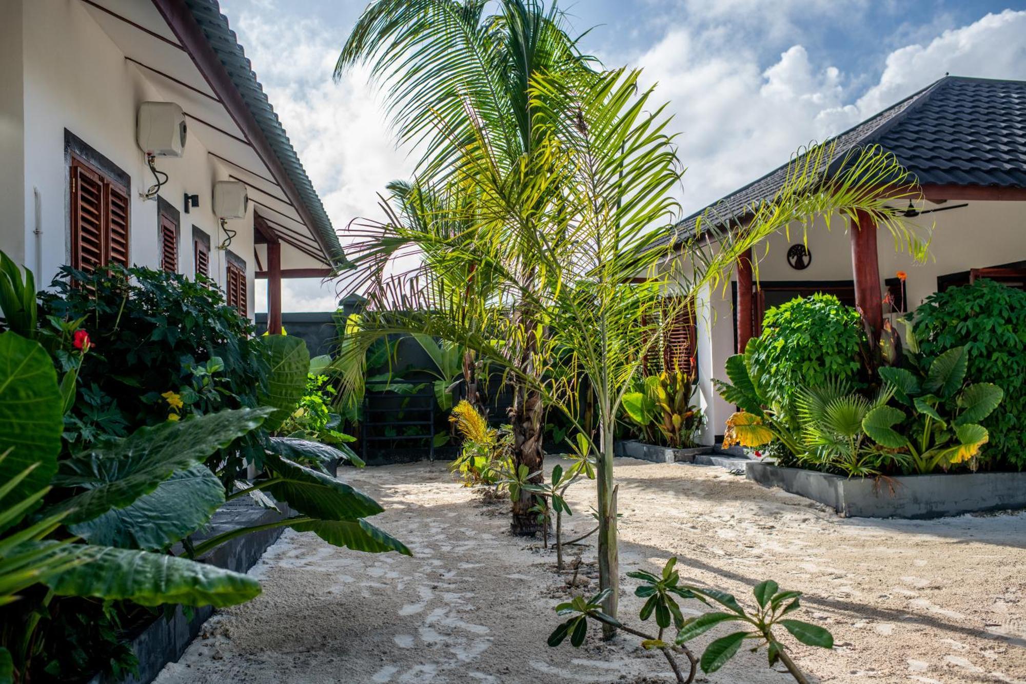 Baobab Bungalows Jambiani  Exteriör bild