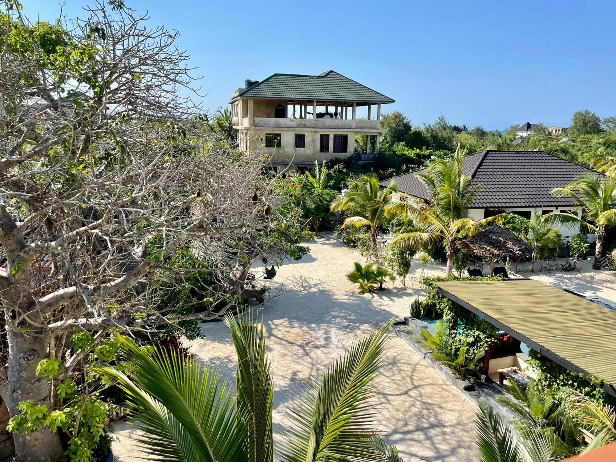 Baobab Bungalows Jambiani  Exteriör bild