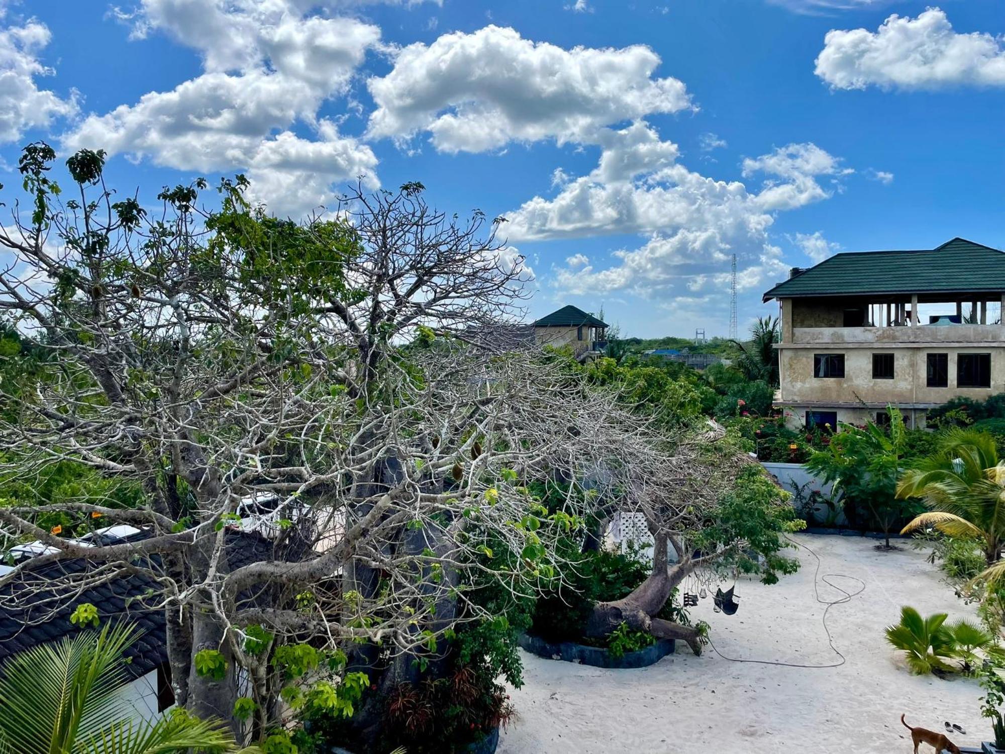 Baobab Bungalows Jambiani  Exteriör bild
